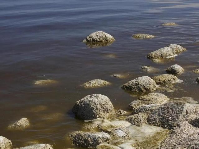 cod是什么污染物，cod測定儀如何使用？