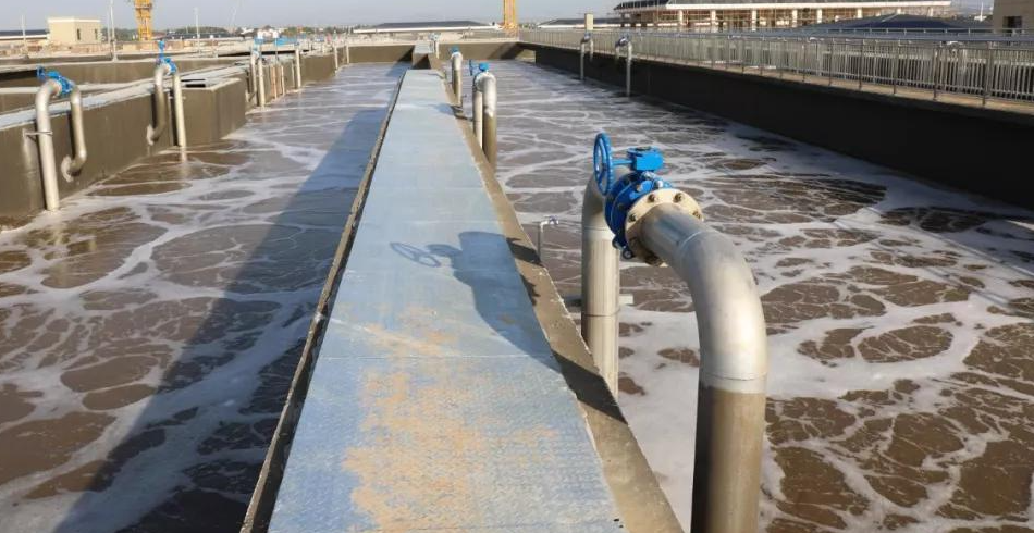 氨氮超標的危害！