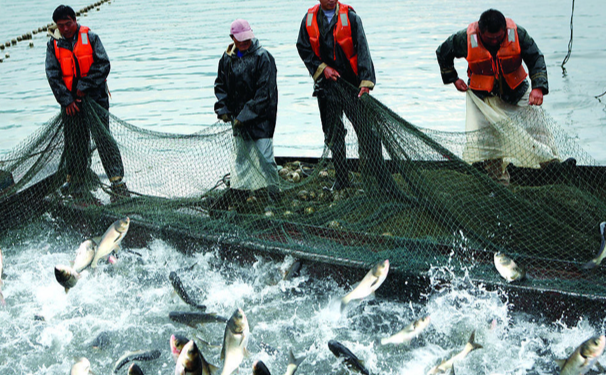 溶解氧測定儀對水質(zhì)的重要性