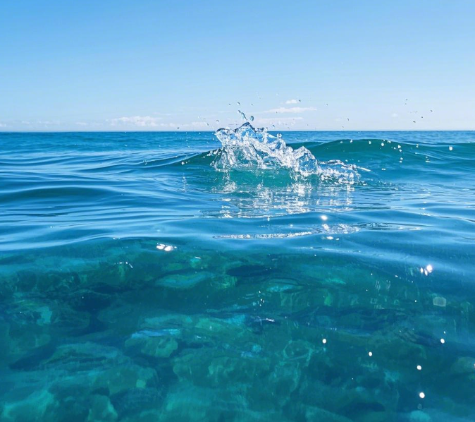 總磷測定儀的選購指南！