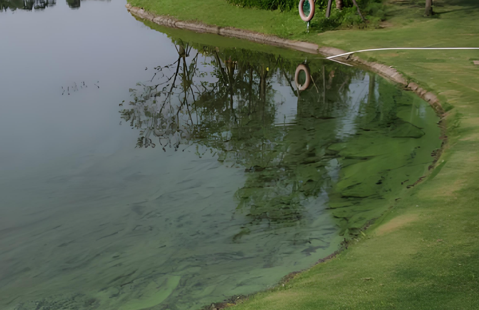 總磷檢測(cè)儀全方位守護(hù)水體健康